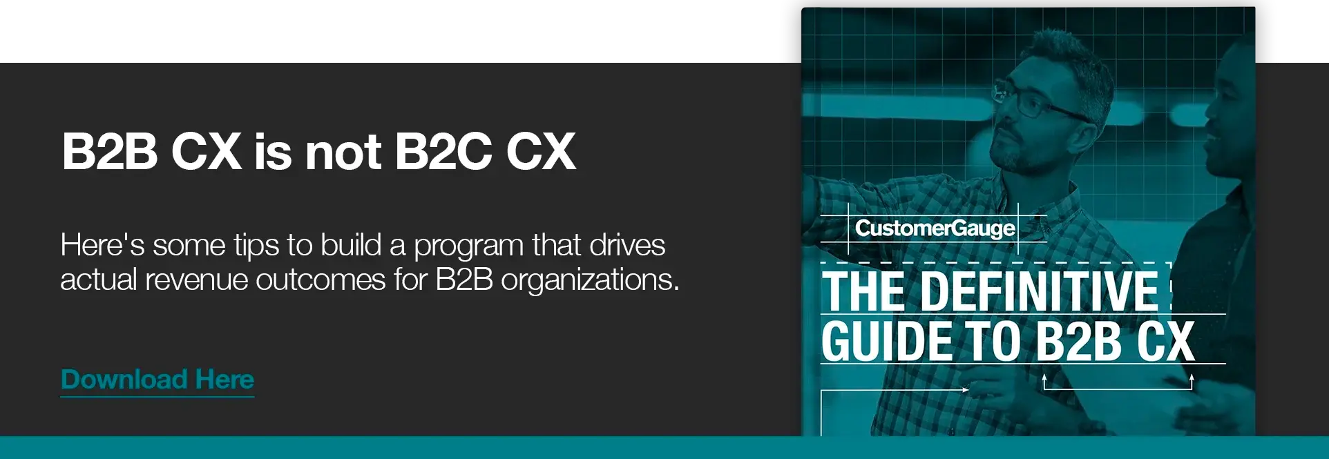 Implement B2B NPS program