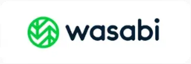 Wasabi logo Box