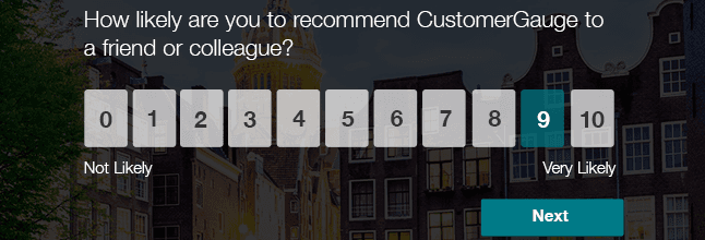 NPS Survey Example
