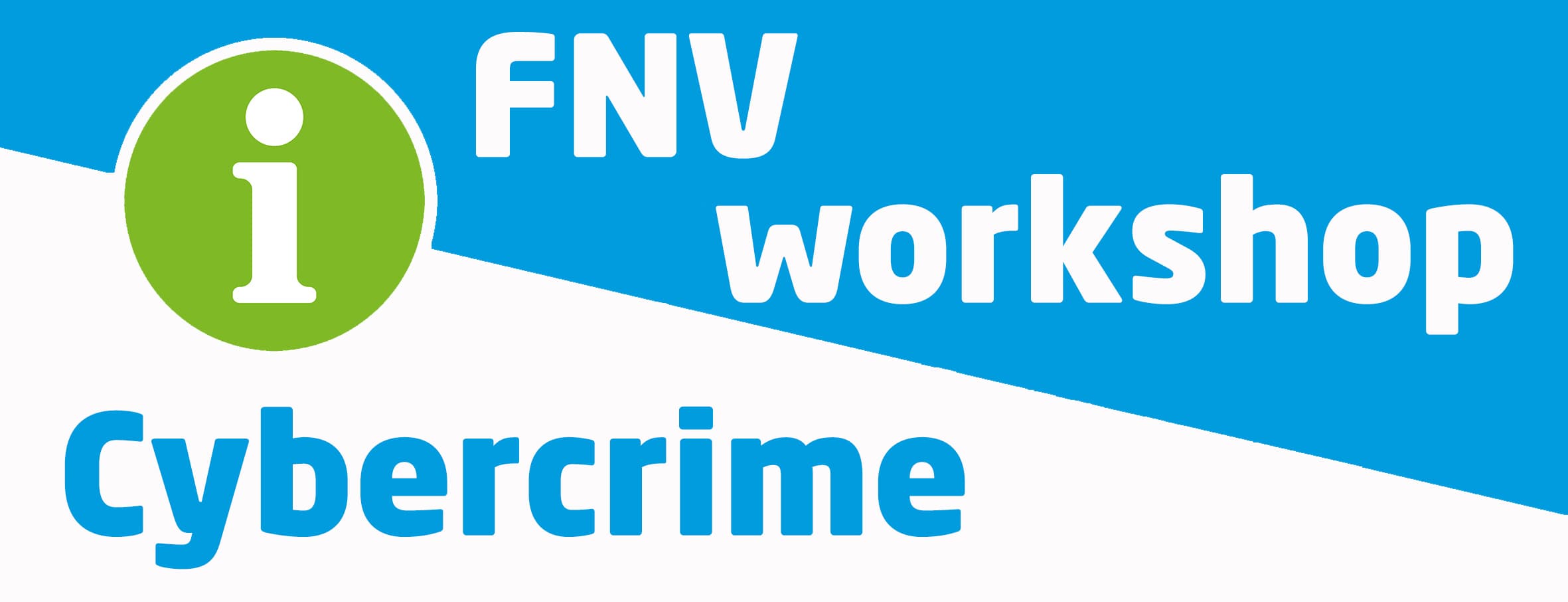 FN Vworkshop Cybercrime