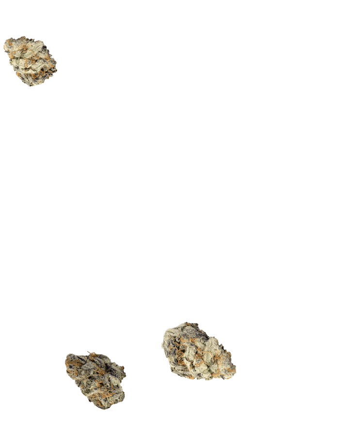 CGB Floating Background Web