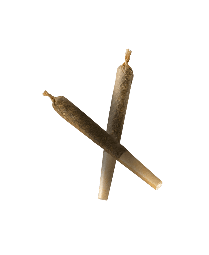 CGB Preroll Background
