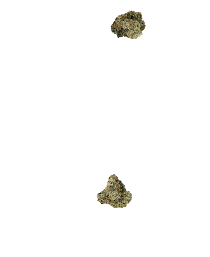 Florida Citurs Kush Floating Background 2