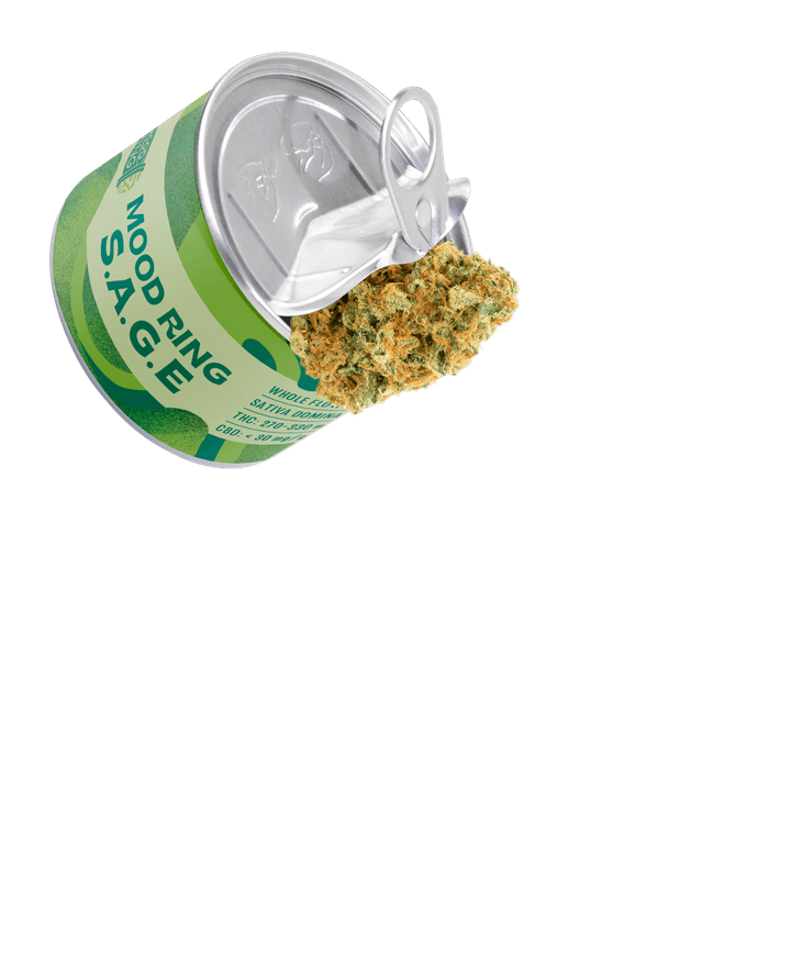 SAGE middleground