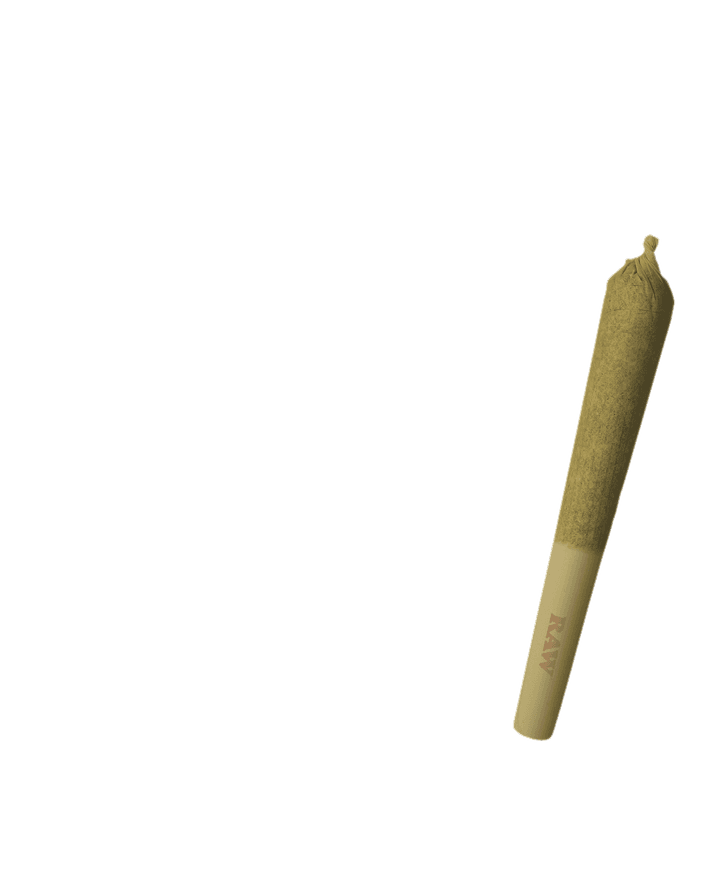Preroll foreground 1440x1760