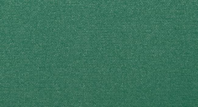 Canopy forest green