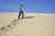 Sand Flight 01