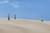 Sand Flight 07