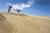 Sand Flight 30