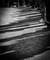 SAMKOME Nicolai Lopez Mia Habib Productions 1