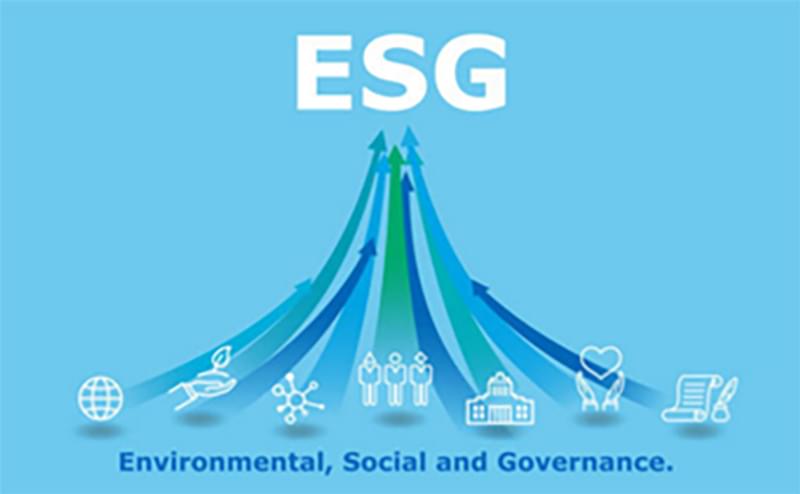 Embedded ESG image placeholder