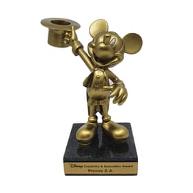 Disney Creativity & Innovation Award - Procos