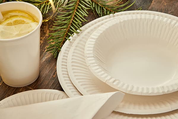 Eco friendly white tableware!