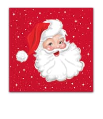 Seasonal Napkin Designs - Santa's Portrait Three-Ply Paper Napkins 33x33 cm. - 90962