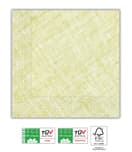 Solid Color Compostable - Home & Industrial Compostable Lime Green Three-Ply Napkins 33x33 cm FSC - 91496