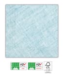 Solid Color Compostable - Home & Industrial Compostable Turquoise Three-Ply Napkins 33x33 cm FSC - 91497