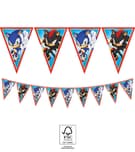 Sonic Party - FSC Paper Triangle Flag Banner (9 flags) - 95667