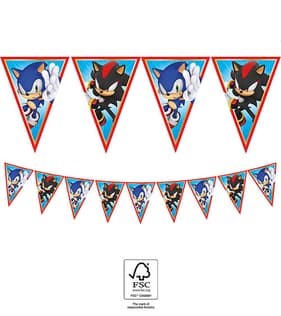 Sonic Party - FSC Paper Triangle Flag Banner (9 flags) - 95667