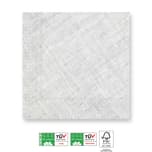 Solid Color - Home & Industrial Compostable Grey Three-Ply Napkins FSC - 91501