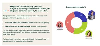 Inflation Consumer Segments