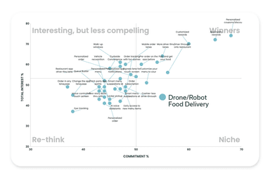 Drone Delivery in Niche quadrant