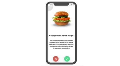 Sample concept description - burgers