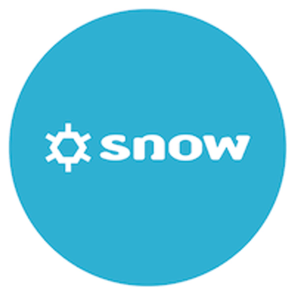 Snow Software overschrijdt honderd miljoen dollar aan wereldwijde omzet image
