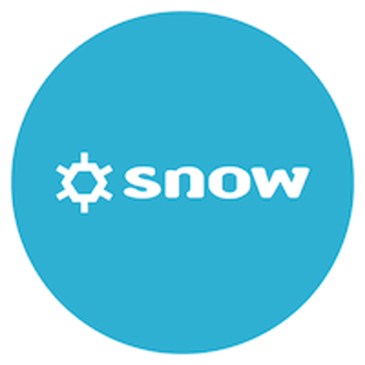 Snow Software kiest voor verkoop via channel partners image