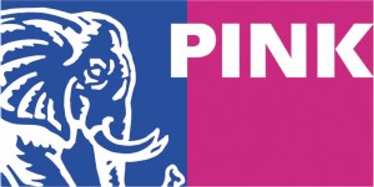 Pink Elephant Business Intelligence verandert in 2Foqus image