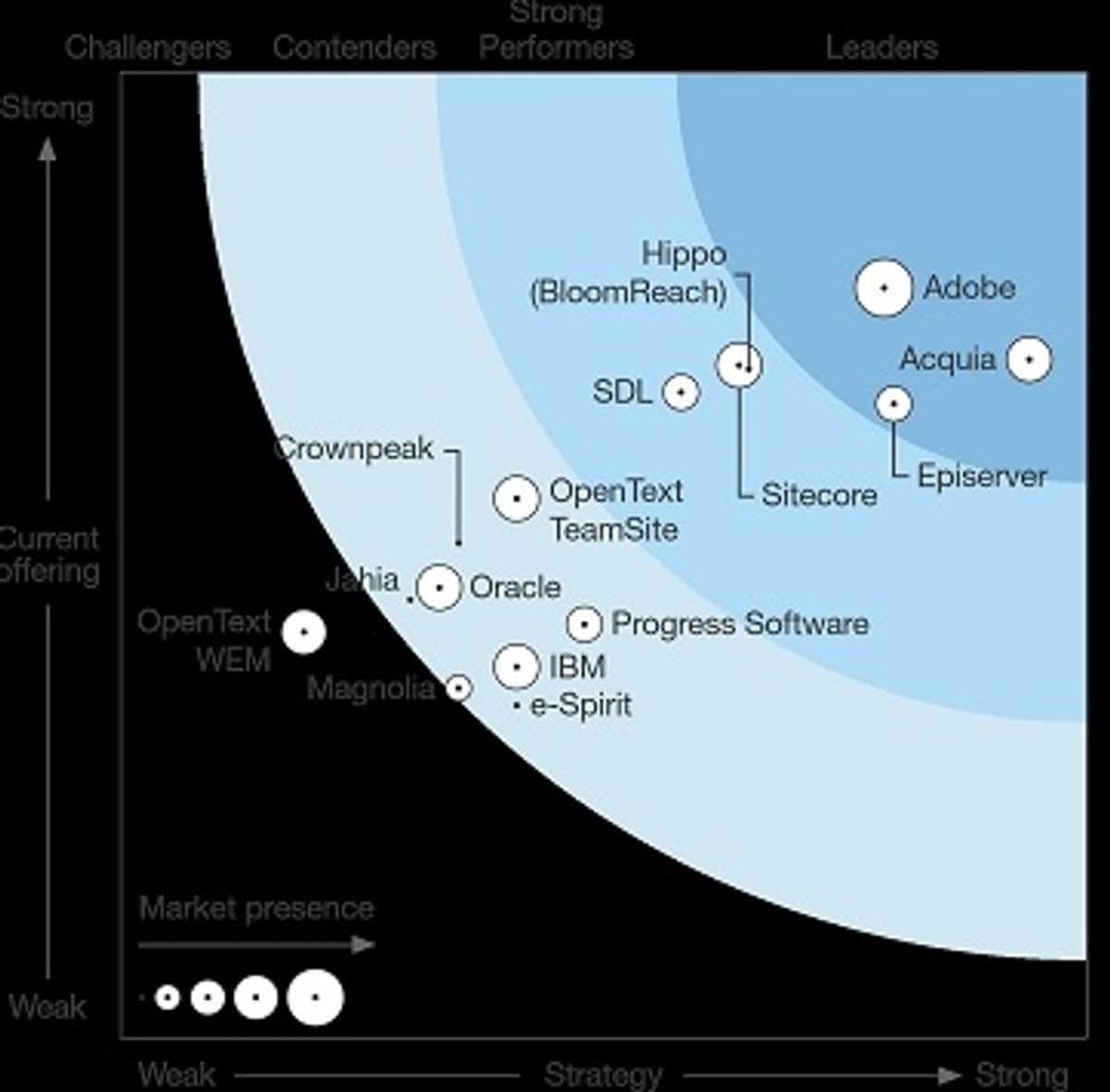 Forrester benoemt de beste Web Content Management Systemen image