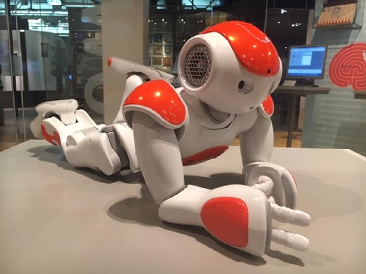 Kunsthuid die 'pijn' voelt, kan leiden tot nieuwe generatie aanraakgevoelige robots image