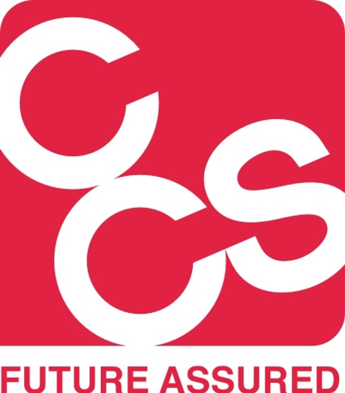CCS CEO Pieter-Paul van Beek treedt terug image