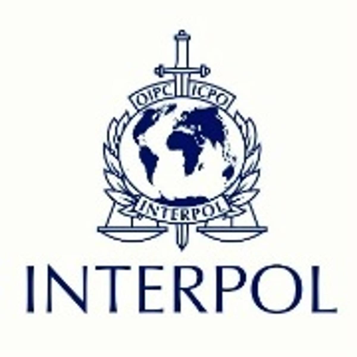 Interpol geeft een opsporingsverzoek uit voor Do Kwon image