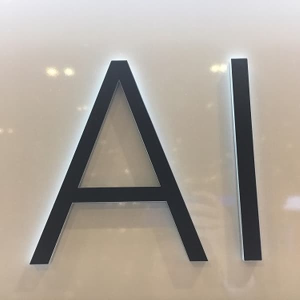 Nederlandse bedrijven zijn koploper in gebruik van AI