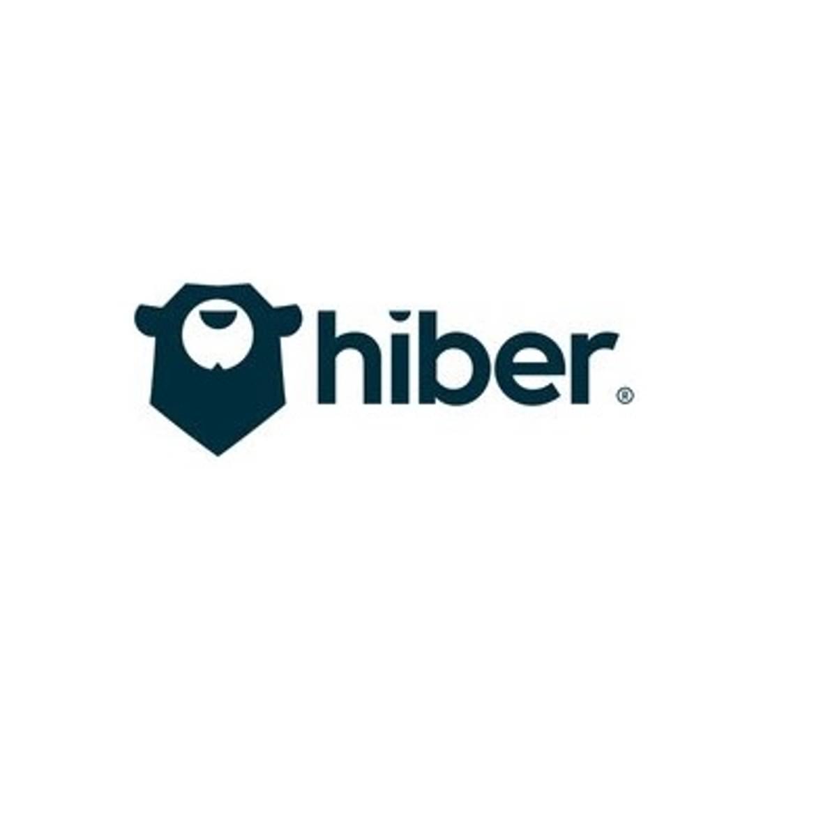 Hiber stelt Roel Jansen aan als CEO image