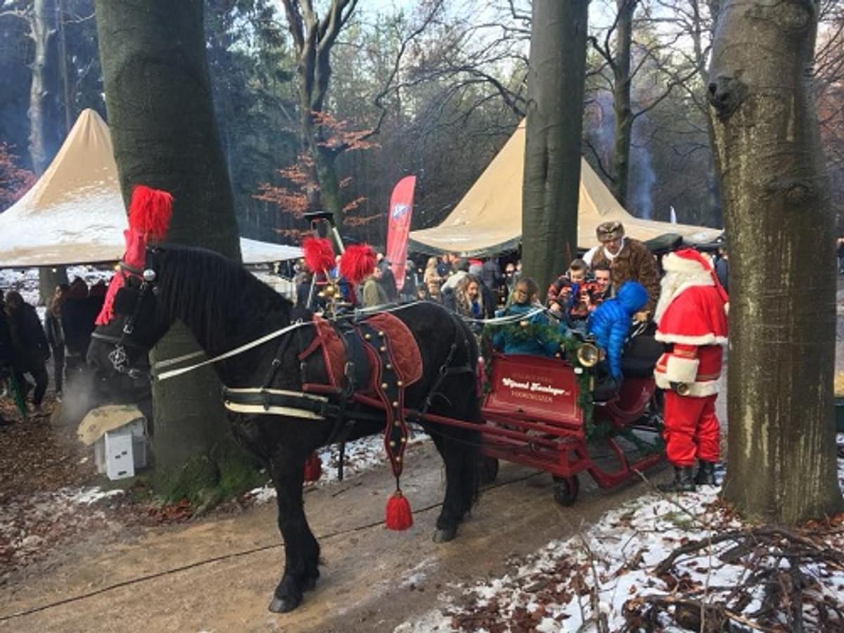 Infotheek Kerstbomendag 2017 geslaagd image