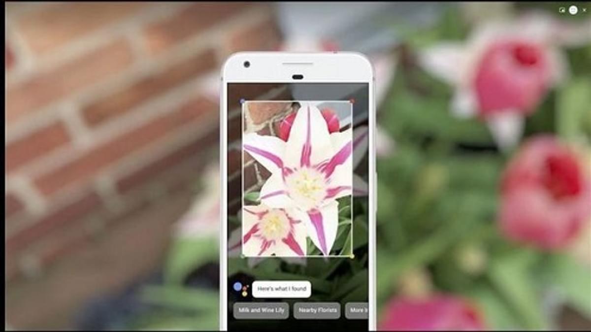 Google Lens beschikbaar op Apple iOS image