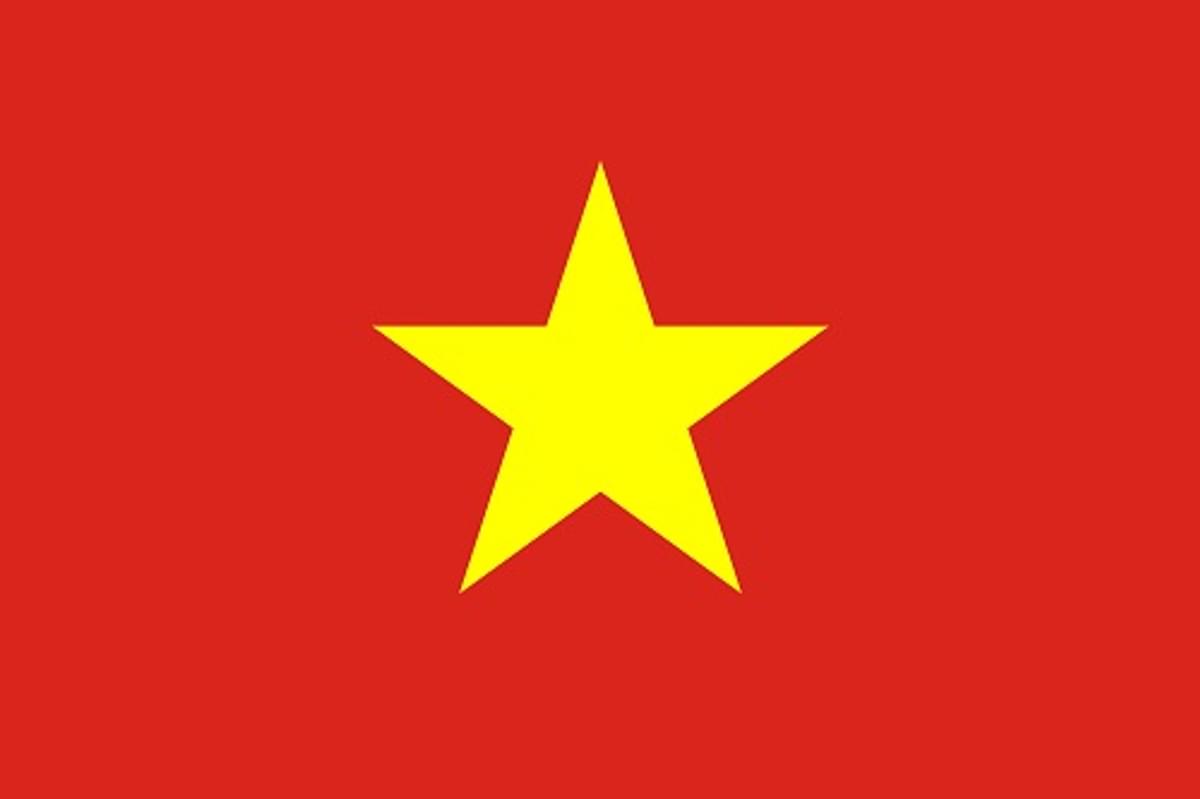 Vietnam dwingt Facebook tot censuur image