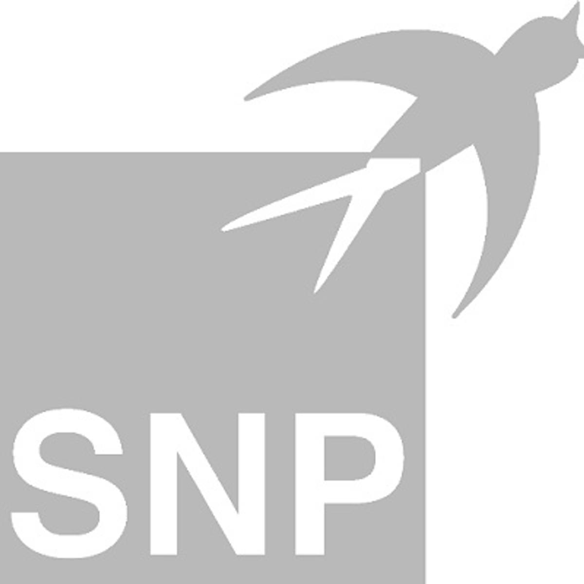 SNP werkt samen met IBM om SAP S / 4HANA adoptie te versnellen image