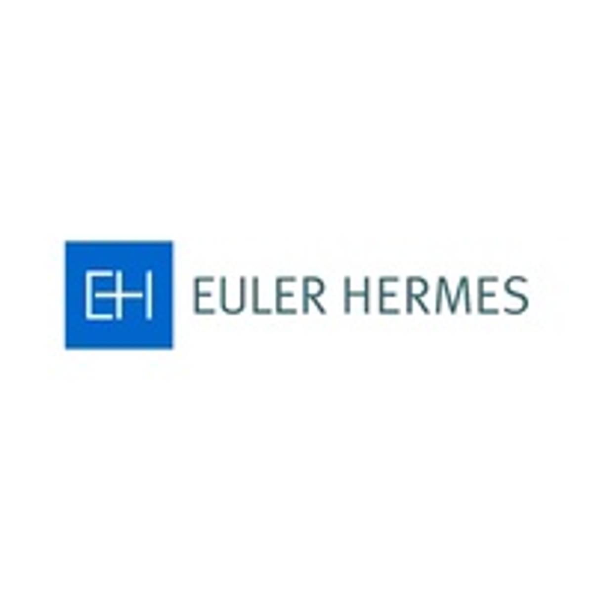 Euler Hermes: kans op een recessie begin 2020 is erg groot image