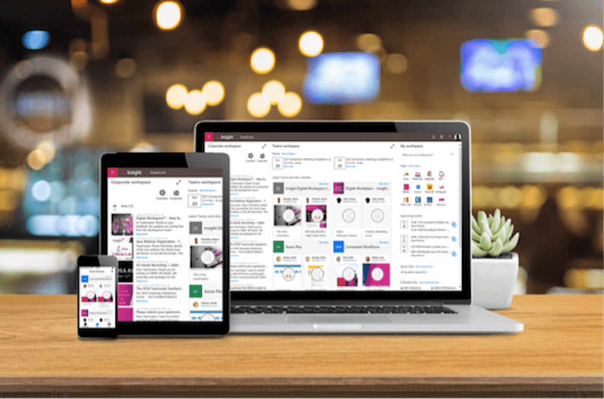 Insight verhoogt productiviteit van medewerkers met nieuwe digitale werkplek image