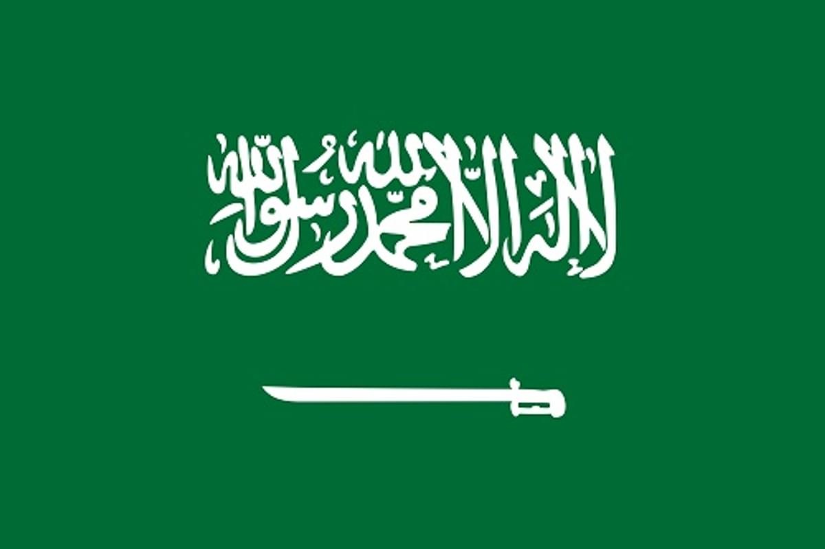 Saudische vrouw krijgt ruim dertig jaar cel voor Twitter-gedrag image
