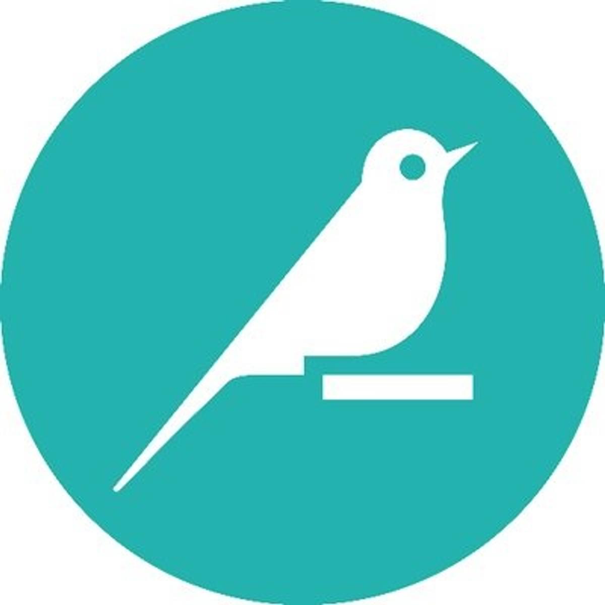 Dataiku haalt 101 miljoen dollar op bij investeerders image