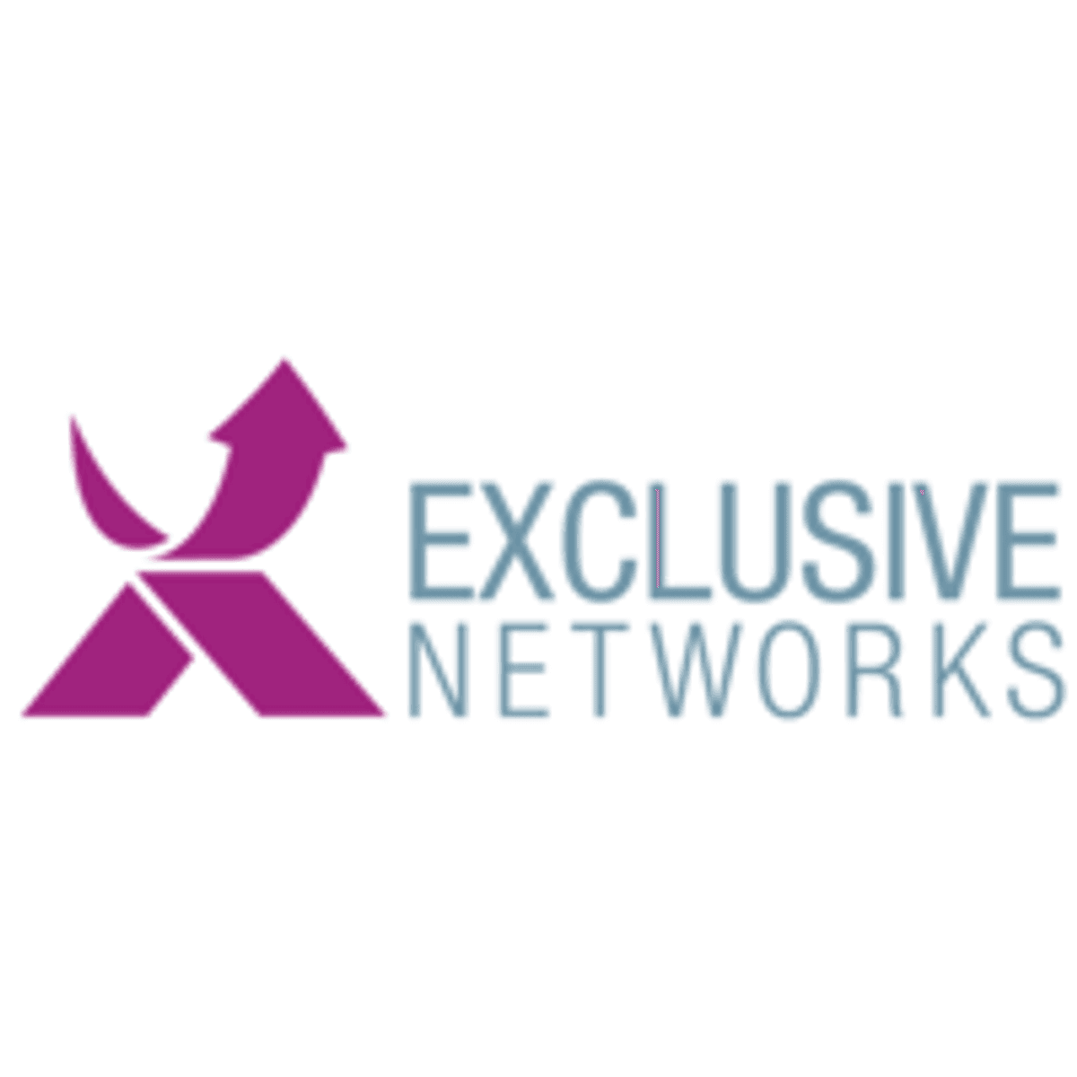 Exclusive Networks organiseert NetSec 2019 image