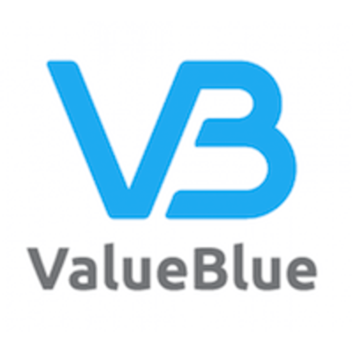 Utrechtse techbedrijf ValueBlue opent kantoor in New York image