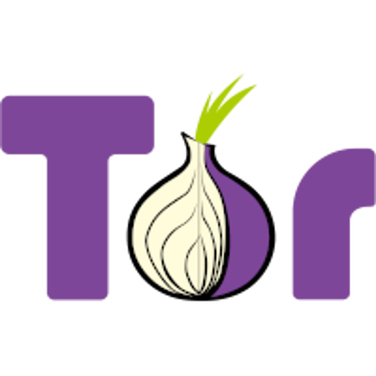 Derde van de banen op de tocht bij Tor Project image