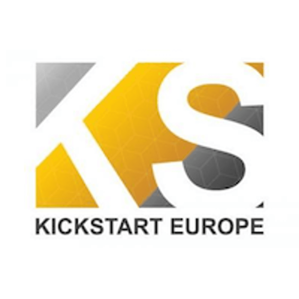 Internationale top van digitale industrie komt samen op KickStart Europe 2020 image