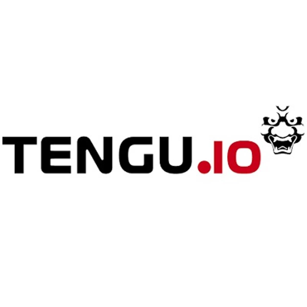 Gentse scale-up Tengu lanceert DataOps platform image