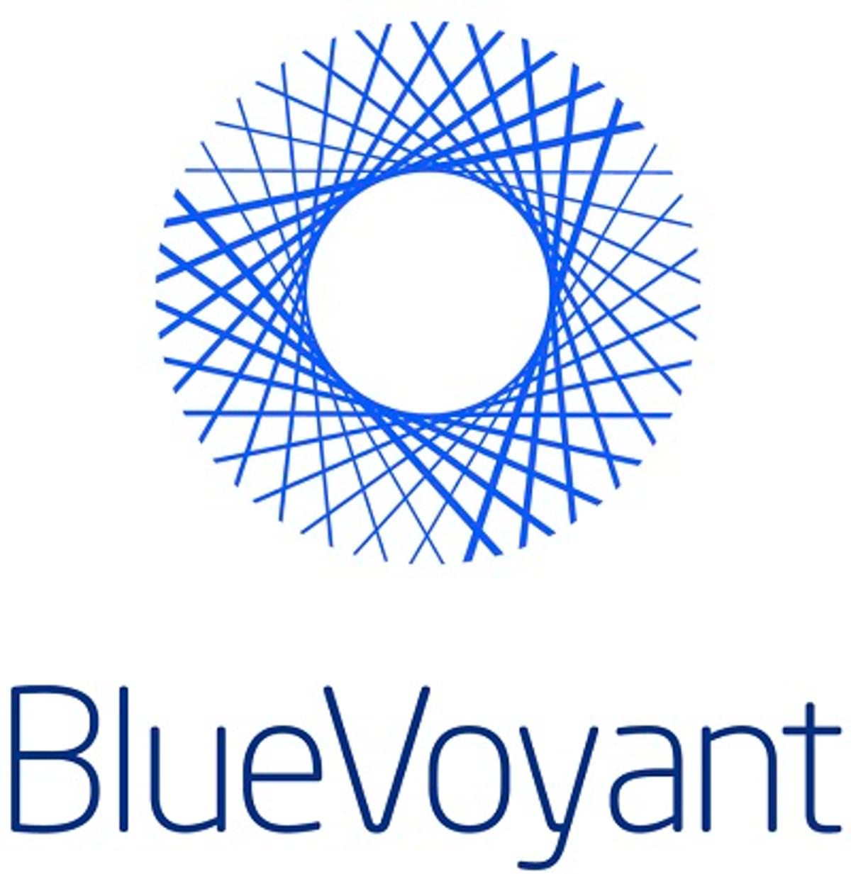 Security tools specialist BlueVoyant haalt bijna zeventig miljoen dollar op image