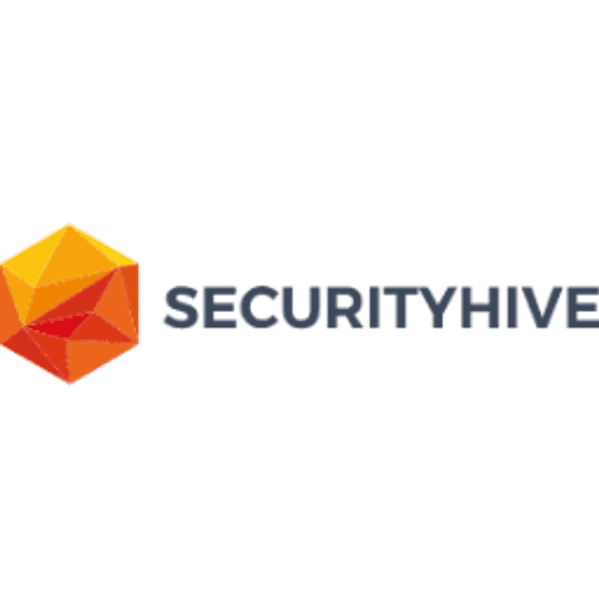 B2B Secure start samenwerking met SecurityHive image